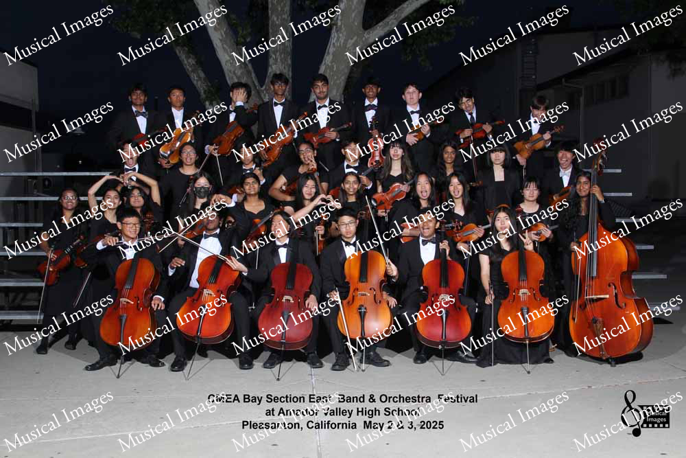 Musical Images